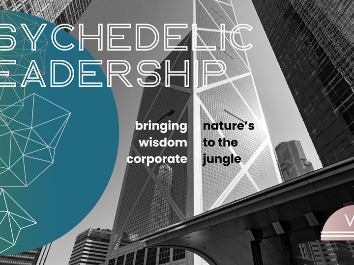 Psychedelics At Work: The cheat code for enhanced leadership & innovation